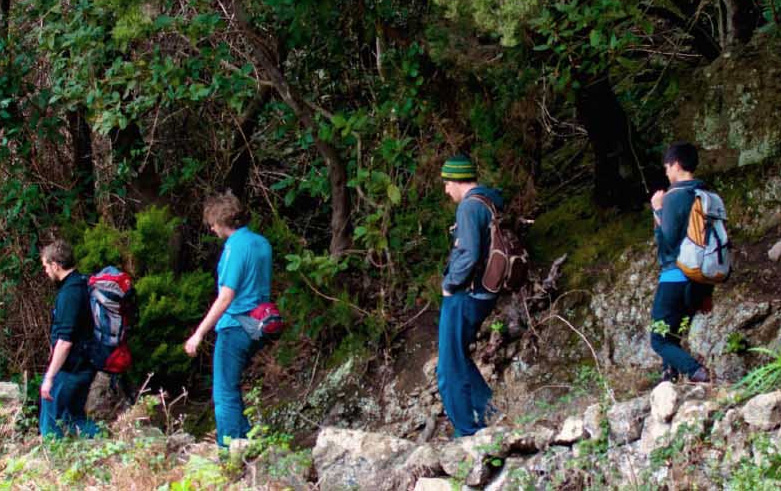 Students hiking