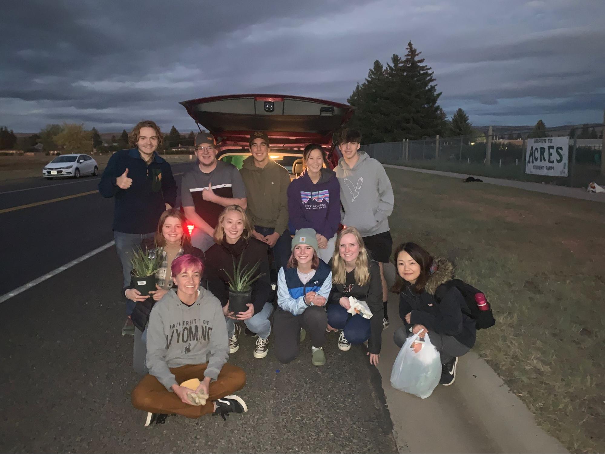 Sust club harvesting pumpkins