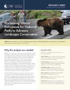 Report thumbnail of Harnessing Visitors' Enthusiasm for National Parks to Advance Landscape Conservation