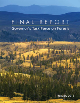 Report thumbnail of Governor's Task Force on Forests Final Report