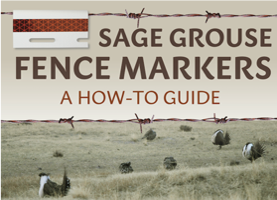 Report thumbnail of Sage Grouse Fence Marker Guide