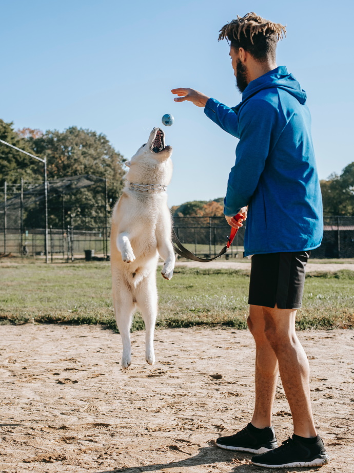 man playing ball with a husky