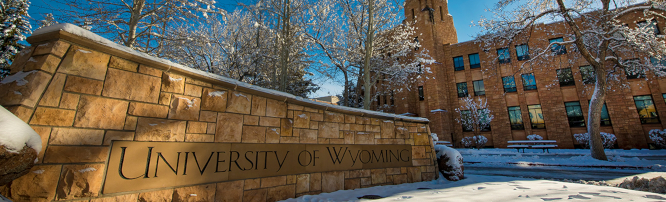University of Wyoming buildings exterior and trees with snow on them