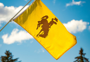Photo of University of Wyoming Flag