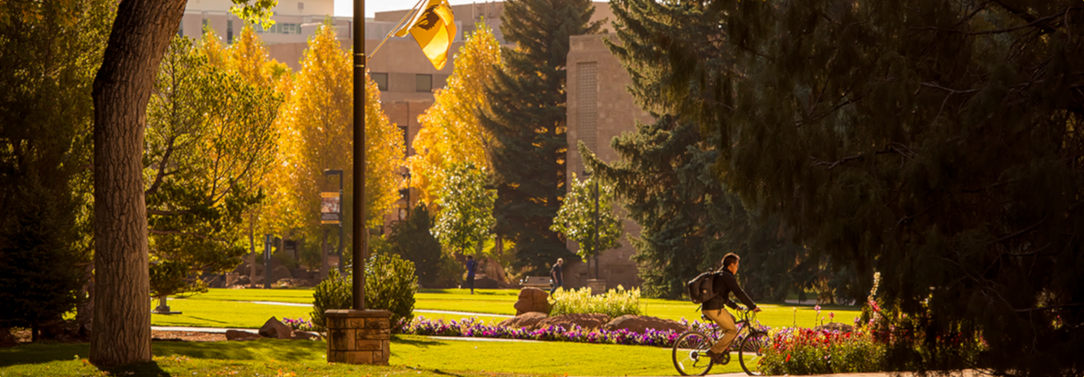 fall campus with bicyclist