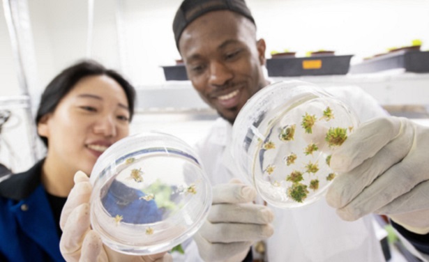 Students looking at an experiment