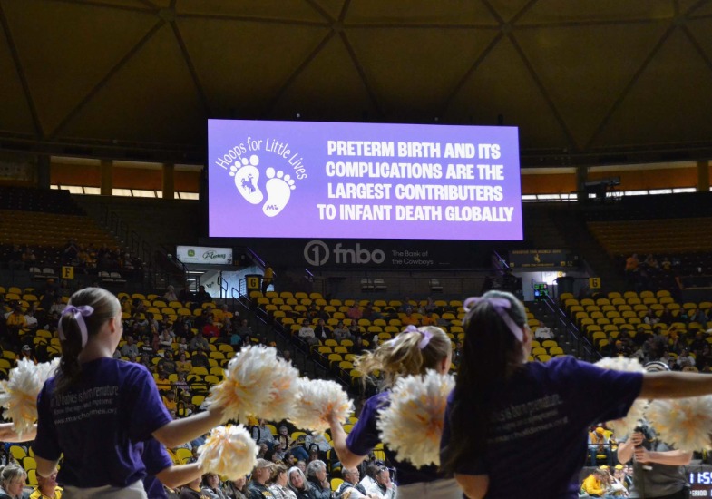 Allie's capstone project: Hoops for Little Lives