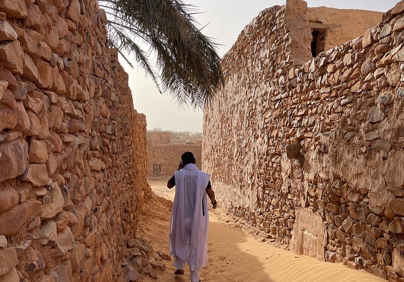 Person walking on sand surrounded by desester architecture and a palm frond.