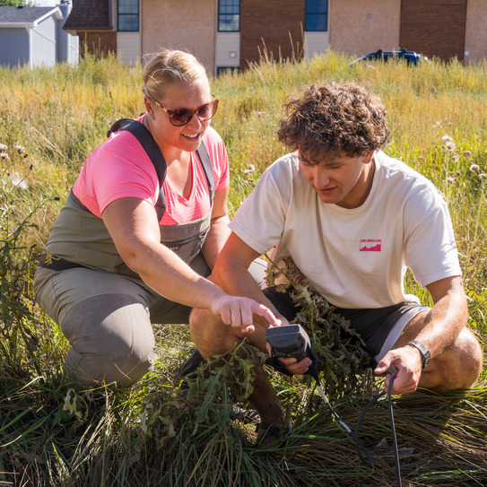Faculty and student stand in high grasses looking at a specimen.