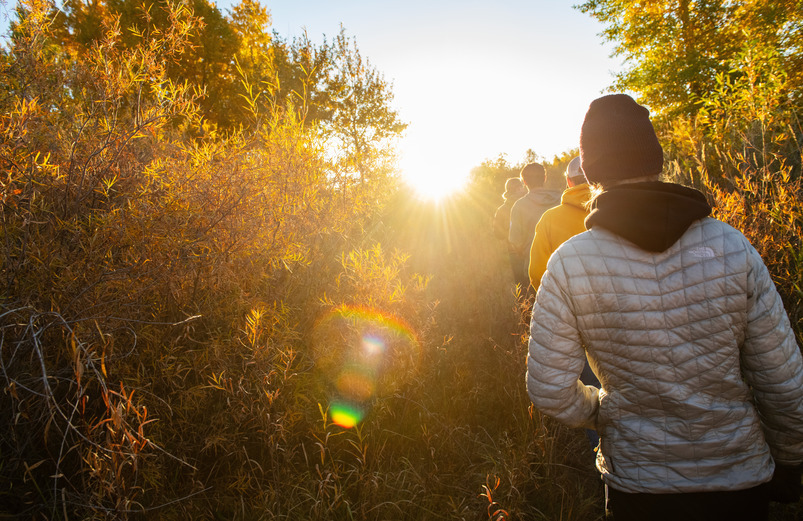 Four students walking into the light of a sunset surrounded by yellow foilage. 