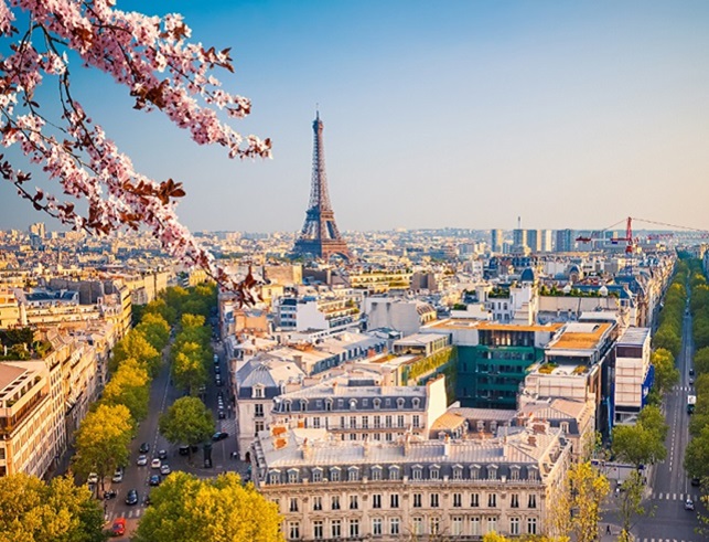 The Parisian skyline with the Effiel Tower in the background with multiple historic buildings in the foreground with a pink blossom on the left-side.