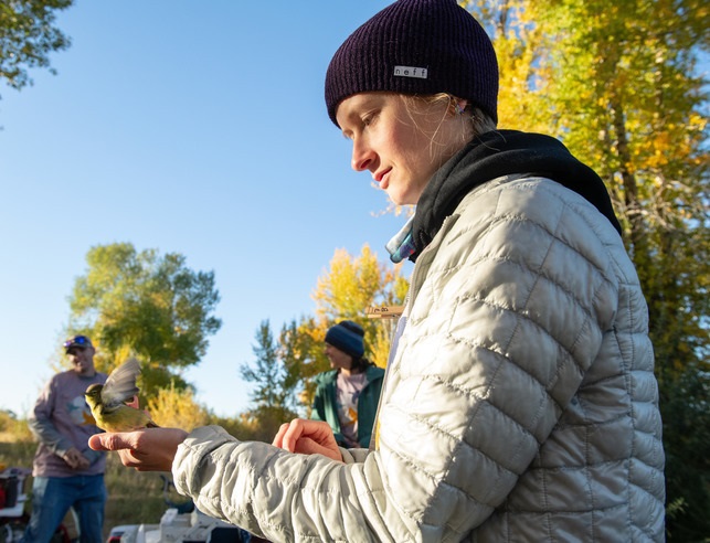A person in a beanie and puffer jacket gently holds a small bird in their hand. The setting is a sunny, wooded area with people blurred in the background, conveying a peaceful, nature-focused atmosphere.