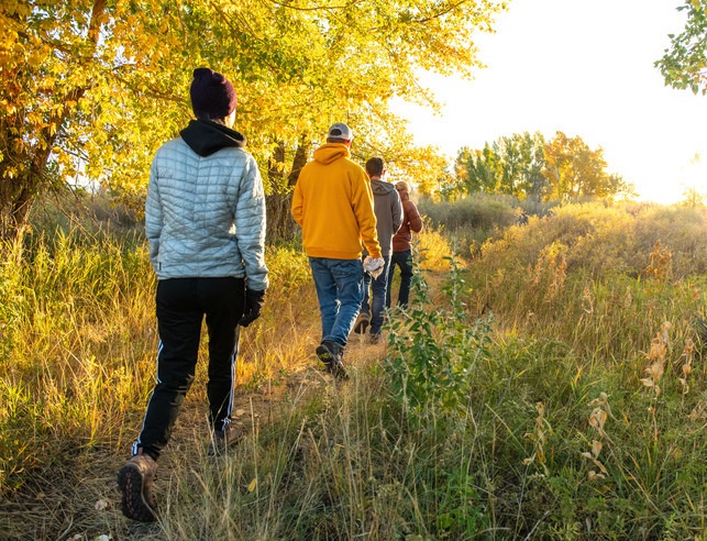 Five students walking away in single file in a yellow, grassy landscape