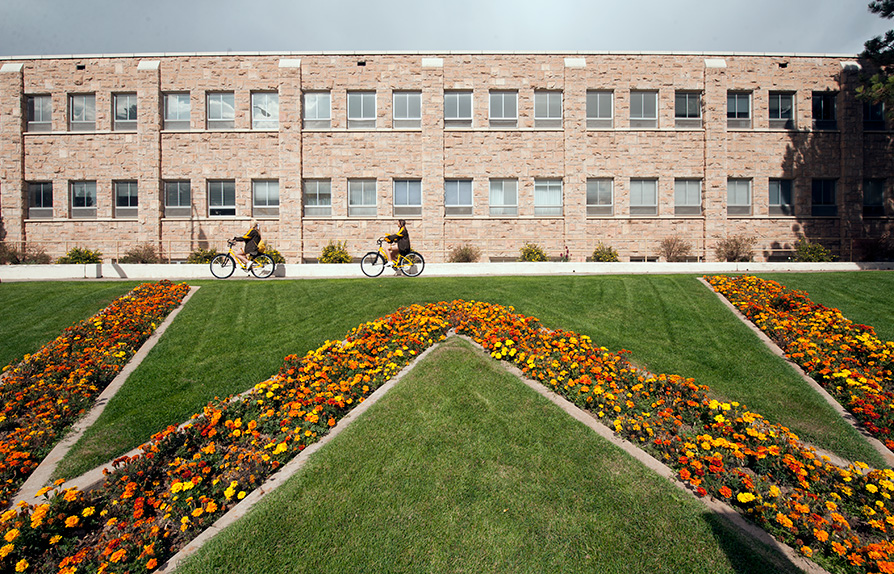 W flower planter by Merica Hall