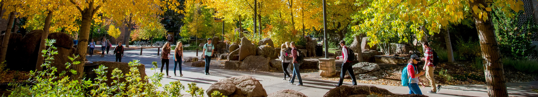 Fall students walking in the fall.