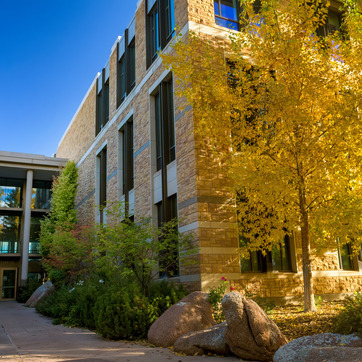 Aspen trees next to Business Building.