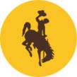 Steamboat horse icon