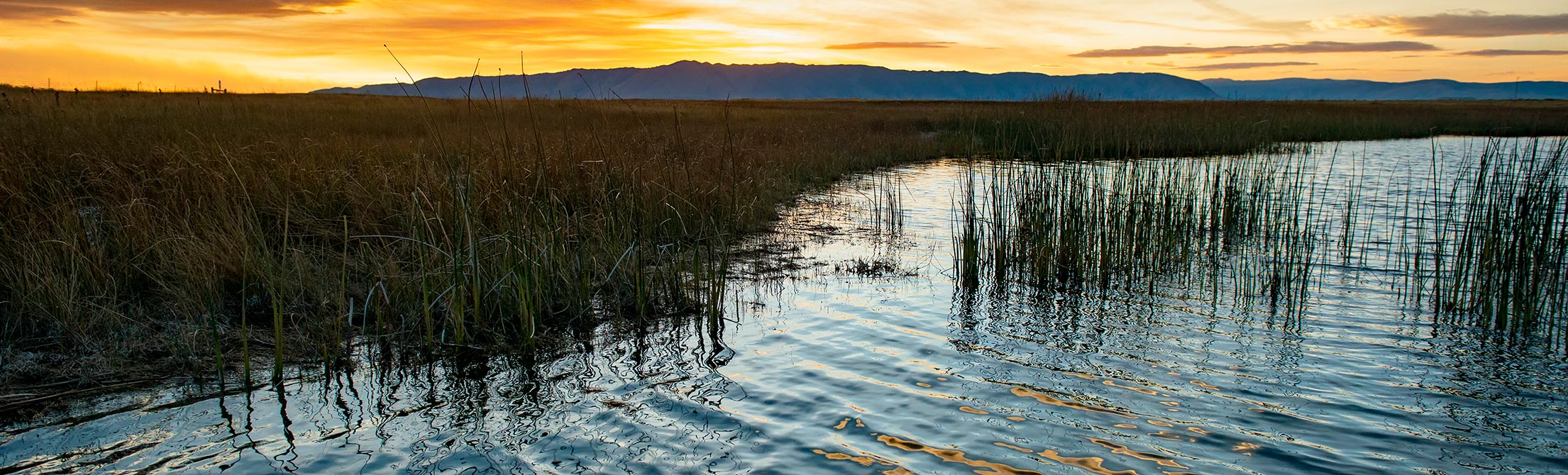 sunset over a lake