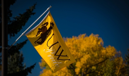 UW Flag