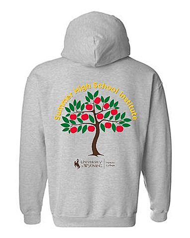 HSI Hoodie in gray