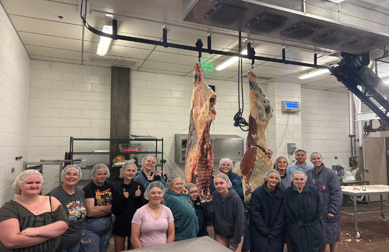 HSI students stand in a professional butcher shop