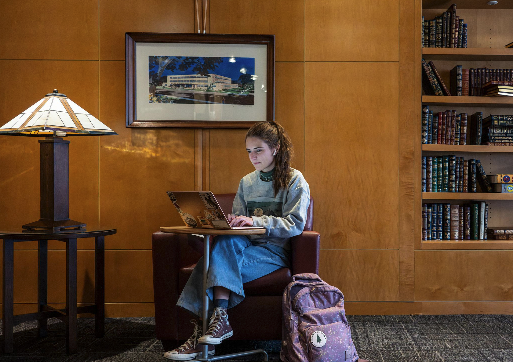 photo of a student using a laptop in the libary
