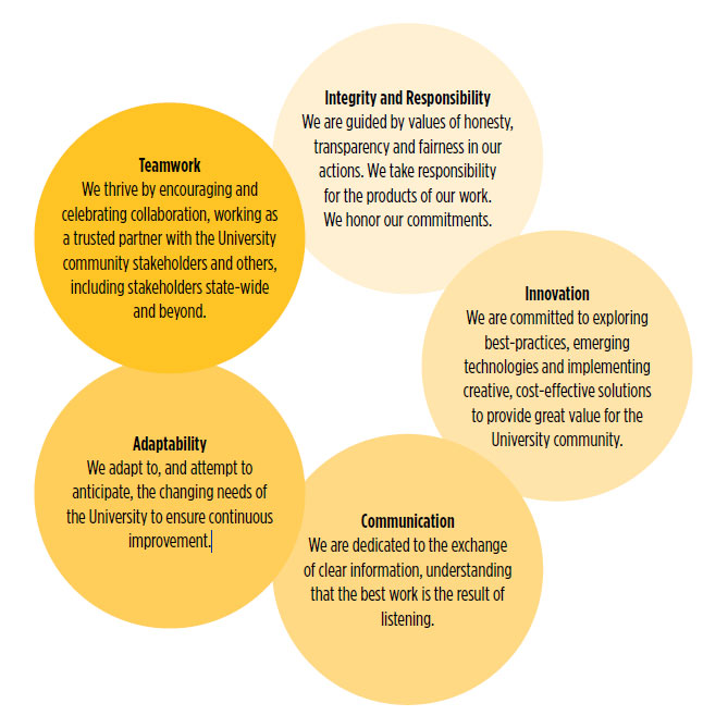 IT Stategic Plan Values