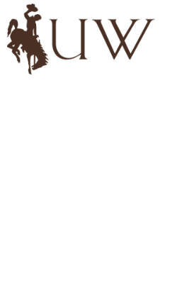 Bucking bronco UW logo brown