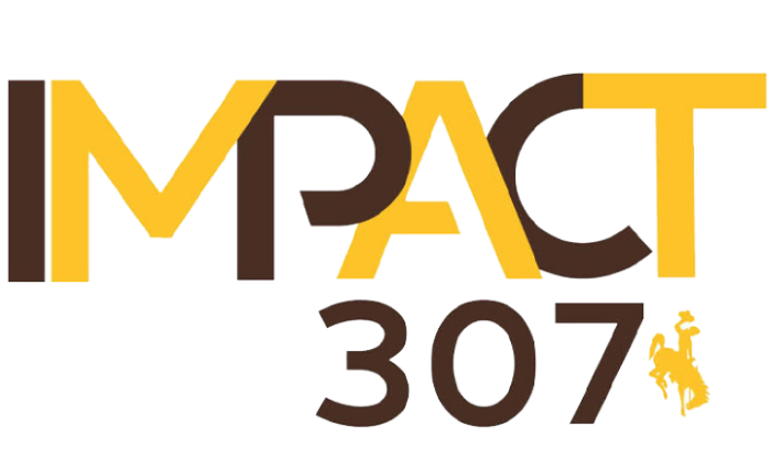 IMPACT 307 logo