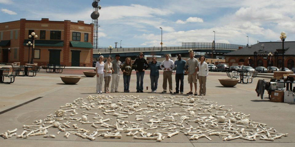 cheyenne installation