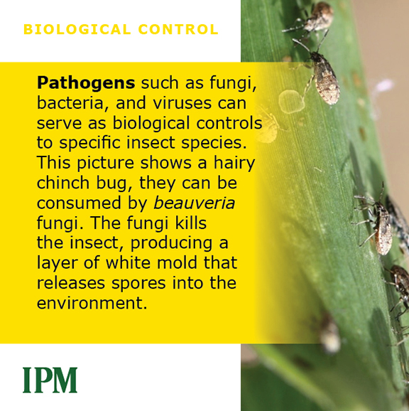 Pathogens