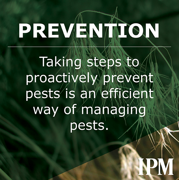Prevention helps have less pests