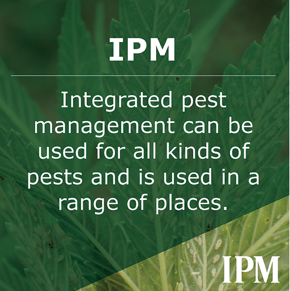 IPM works for all pests