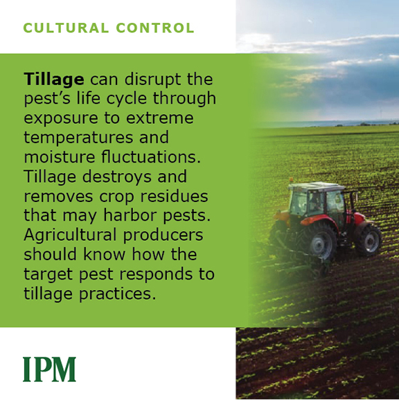 Tillage 