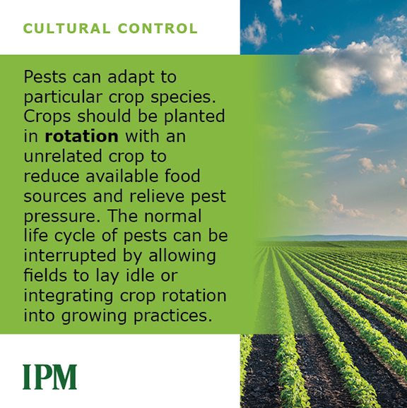 Crop rotation