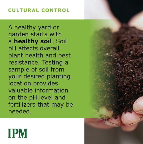 Healthy soil