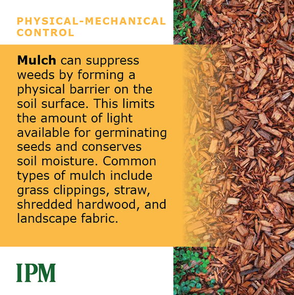 Mulch