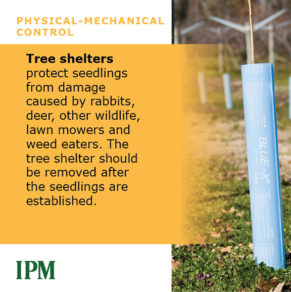 Tree shelters