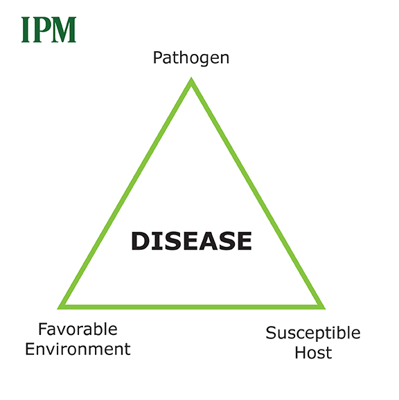 Disease triangle