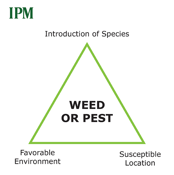 Weed and pest triangle