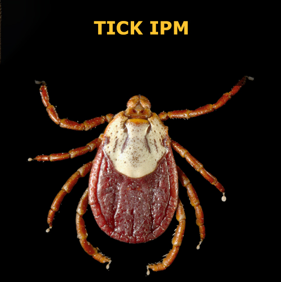Tick IPM