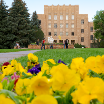 flowers on campus green with building and students in background