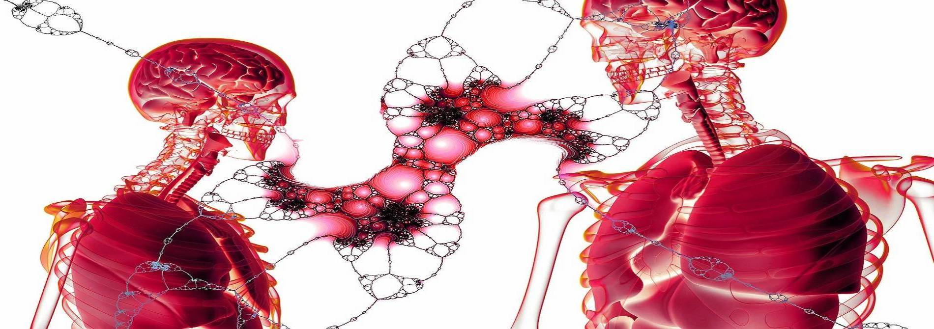 A graphic of two skeletons with lungs and brains.