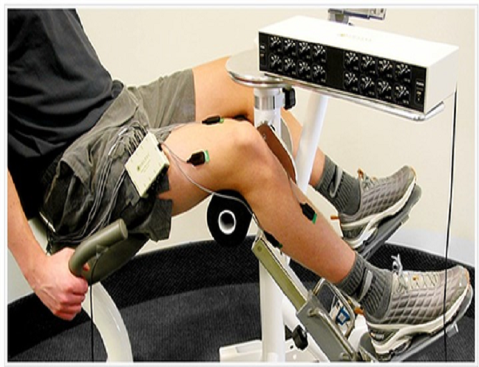 Delsys Myomonitor  EMG 1