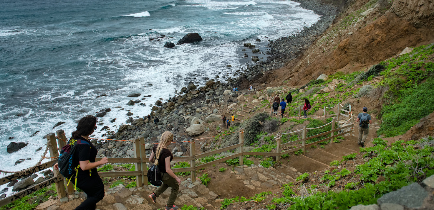 People walking down wooden stairs to a beach.
