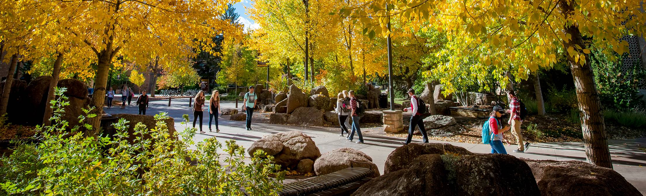 Students on a sidewalk with trees changing color for fall in the background.