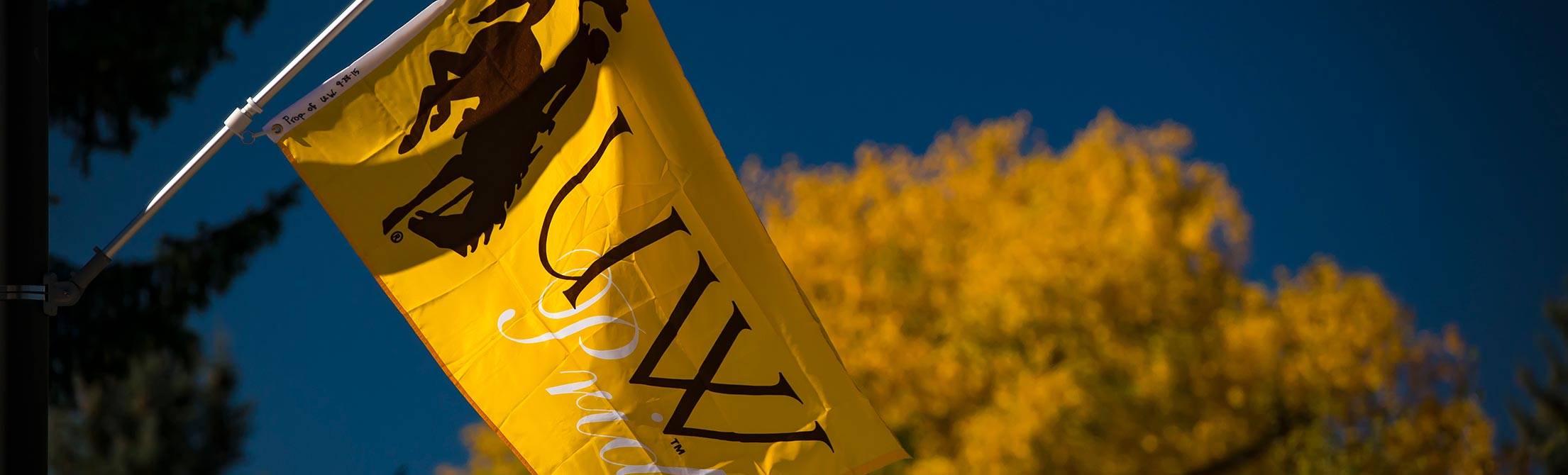 A yellow UW banner moving in the wind.