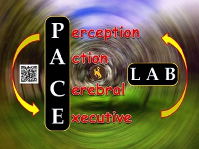 A logo for the PACE lab.
