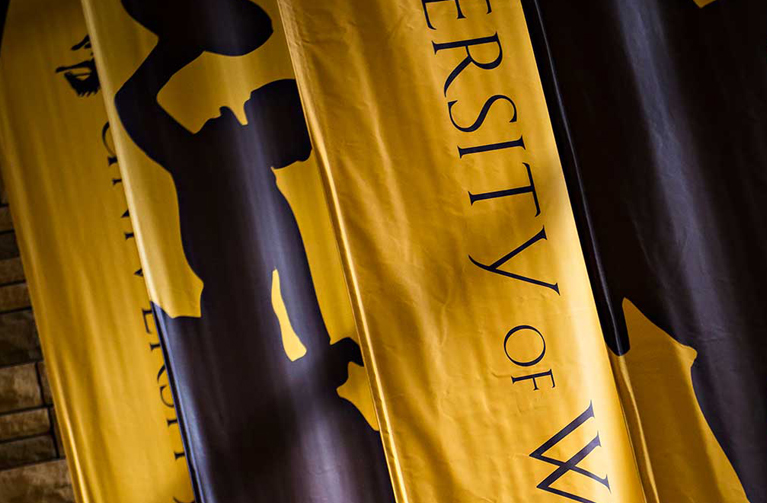 uwyo flags