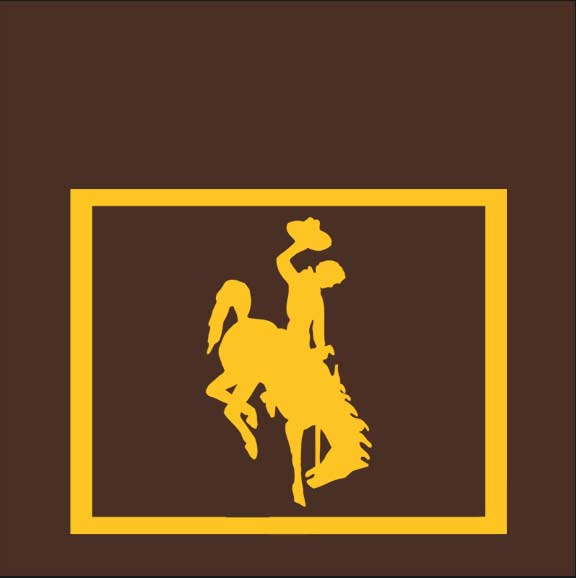 icon of Steamboat the bucking horse logo of the university